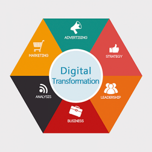 Transformación Digital de la Empresa